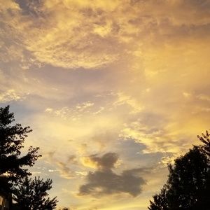 Meet your Posher, Kiara